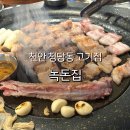천안세무서 | 천안 청당동 고기집 삼겹살 맛있는 녹돈집 내돈내산 재방문 후기