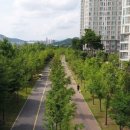 신대생태회랑 이미지