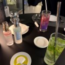 (주)디알 | 한남동 트러플디알바 Truffle di Alba | 디너 코스 후기