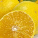 미루상회 이미지