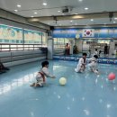 용인대송중태권도장 이미지