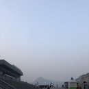 배부른돼지 이미지