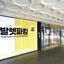 자라무인텔 이미지