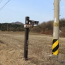 영인농장 이미지