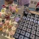 율이네펫 이미지