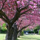 유엔기념공원주차장 이미지