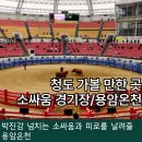 용암온천 이미지