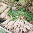 대풍상회 이미지