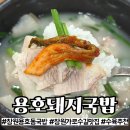 용호 | 창원 용호동 맛집 용호돼지국밥 솔직 후기