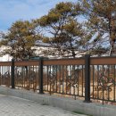 주주디자인