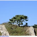 곡성-050 이미지