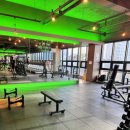 팀터틀랫 양산범어점 이미지