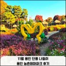 용인시농업기술센터 | 11월 용인 단풍 나들이 가볼 만한 곳 용인 농촌테마파크 후기
