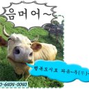 부서축사 이미지