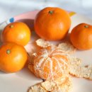 산하농장 | 제주 감귤 택배 임가네귤농장 달콤한 제주 홍귤