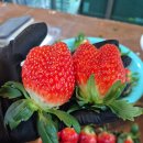 유봉농장 이미지