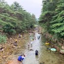 송계당 | [제천] 월악산 국립공원 - 덕주야영장 C15 사이트 &amp; 야영장 앞 계곡(송계계곡) 후기