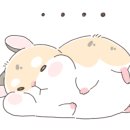 국가대표 연세대 무송태권도장 이미지