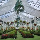 예쁜날 헤어샵 이미지