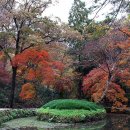 순천-46호 이미지