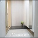 태진차유리 네이버블로그