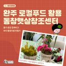 완주 동창햇살창조센터, 컬러풀컬처스블루완주 체험 후기