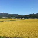 기흥농장 이미지