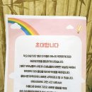 흥국유치원
