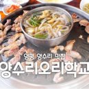 양수리 오리학교 이미지