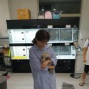 미스터앤 미세스멍 원주점 이미지