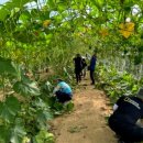 재난안전과 이미지