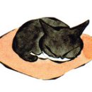 로잔동물의료센터 이미지