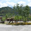 꿈공원약국 이미지