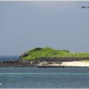 문주란 자생지 이미지