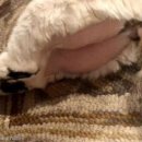 그루밍 스튜디오 이미지