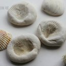 우리들의공부방 이미지