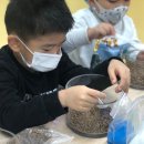 원예마주 이미지
