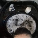 의창-북면-6-비-3 | 것 같은 아이롱펌 | 감계미용실 아리아 수제열펌 잘하는 보하비헤어 북면점 | 북면 감계 1인미용실 추천