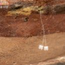 (주)길여행사 이미지