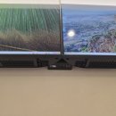 엘로디의원 이미지