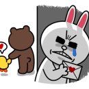 멍냥멍냥 미용실 이미지