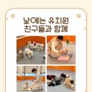 밤밤 애견유치원 이미지