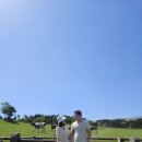 꿀등목장 | 다시 가고 싶은 제주 아침미소목장(꿀커피, 보물찾기, 먹이주기 체험후기)