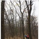 분당탑주유소 | [20170325]서초알프스종주(구룡산ㆍ대모산ㆍ인능산ㆍ청계산ㆍ우면산 연계산행) - 1부