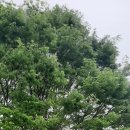 강인 농장 이미지