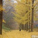 하반기 타박타박 인천 이미지