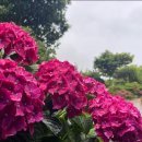 신안센터-16 이미지