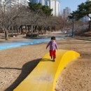 잉어물놀이 이미지