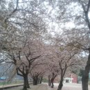 화원중학교 이미지