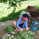 고골농장 이미지